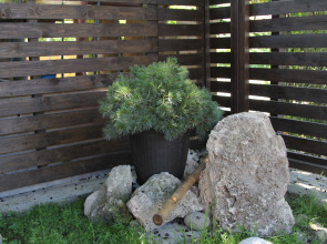 Гостевой Дом Aksis House