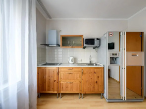 Апартаменты на Докучаев (1261)