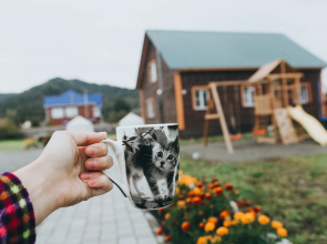 Usadyba Kotovskikh Guest House