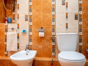 Апартаменты Уютные на Рубинштейна