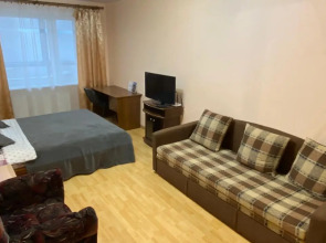 Апартаменты Однокомнатная квартира 71 Онегоhome у озера в Петрозаводске