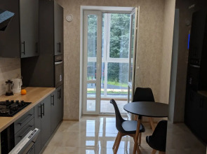 Апартаменты ViktorAppart