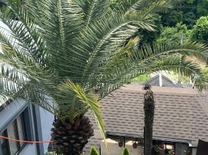 Emida Guest house