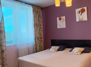 Апартаменты Библиотечная 45 #1