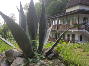 Гостевой Дом Агава