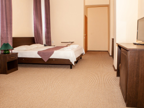 Отель Максимус