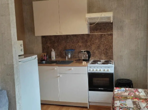 Квартира у метро Парнас