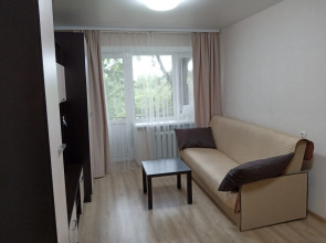 Квартира в Центре у Реки Псковы