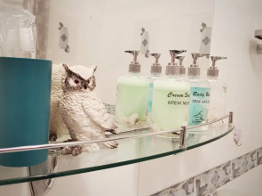 Квартира Renta27 на набережной Амура у Колеса Обозрения