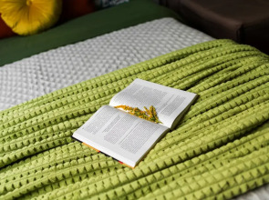 Квартира возле зоопарка 2