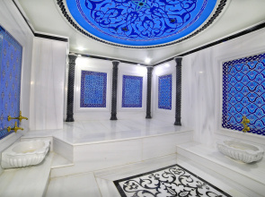 Отель Seven Hills Palace