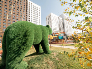 Апартаменты  в ЖК Притяжение