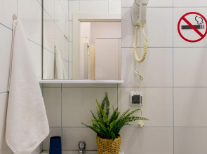 Апартаменты Гости Любят на Владимирской