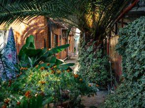 Мебелированные комнаты Азалия Центральный