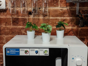 Квартира Современные Однокомнатные в Историческом Центре Ярославля