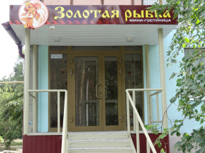 Отель Золотая рыбка