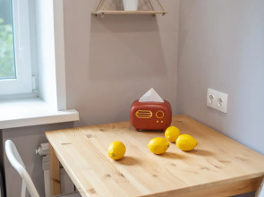 Квартира на Богдановича 4