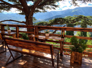 Гостевой дом Mister Tooker