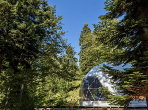 Глэмпинг Атмосфера