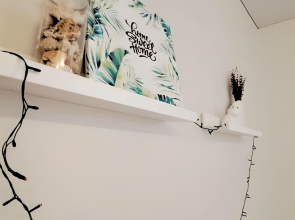 Апартаменты Студия на Соболевке