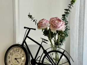 Квартира Белая Ночь Кенигсберга