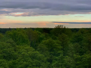 Квартира Кранц Апарт