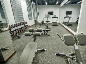 Отель Garnet Mir