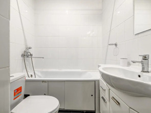 Апартаменты На Маяковской (907)