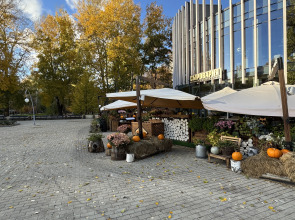 Квартира стильная с дизайнерским ремонтом комфорт и уют