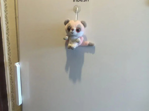 Квартира Студия Эконом-Класса