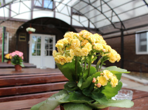 Гостиница Печоры-Парк