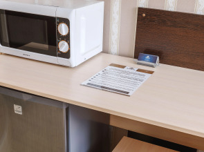 Двухместная мини-студия Авион