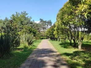 Апартаменты Семейные апартаменты Адлер