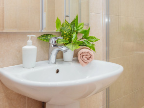 Апартаменты семейные с мангальной зоной