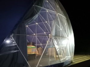 Глэмпинг Папоротник