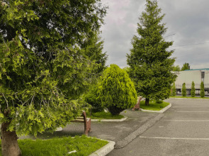 Отель Провинция