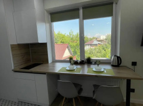 Квартира Студия в центре