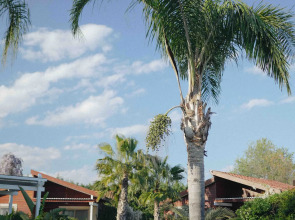 Отель Kimera Lounge