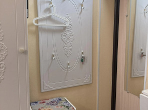 Квартира третья студия на Большом пр. Петроградки