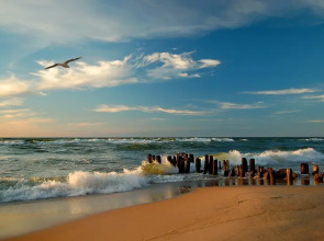 Квартира на Море