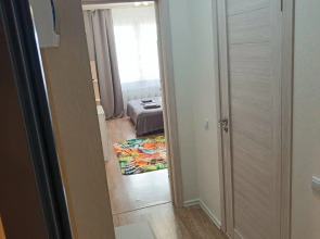 Квартира на улице Муринская дорога 27/2