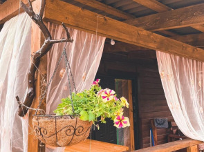 Гостевой дом Алтай сан