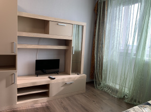 Odnokomnatnaya Karla Libknekhta 70 Flat