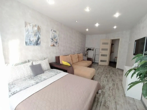 Квартира Просторная однокомнатная на ул. Ньютона