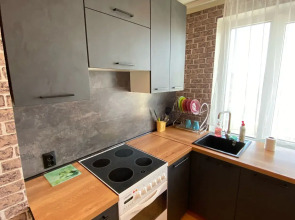 Апартаменты с 1 комнатой на Северном проезде 13 (Квартира51)