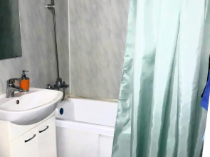 Квартира  в центре Новомосковска