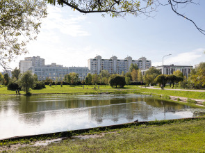 Квартира Дзен от Home24