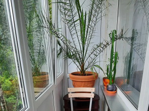 Квартира с ремонтом в центре Калининграда