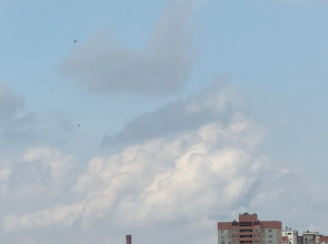 Апартаменты Мориса Тореза 79-38