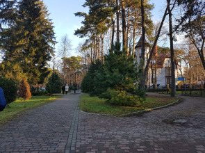 Апартаменты Svetlogorsk 1